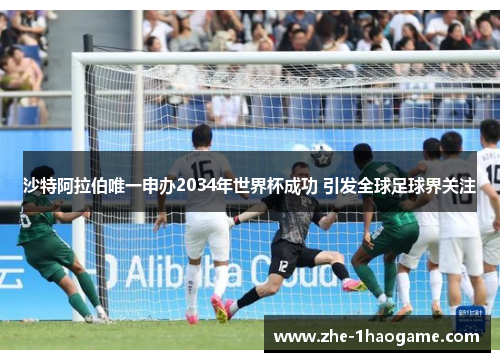 沙特阿拉伯唯一申办2034年世界杯成功 引发全球足球界关注